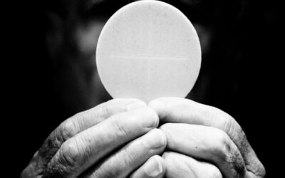 Incontro Diocesano Ministri Straordinari della Comunione